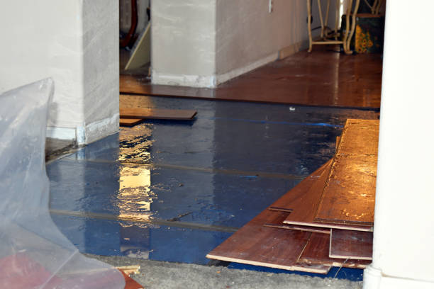 Professional Emergency Water Damage Restoration technician working in Manchester, VA